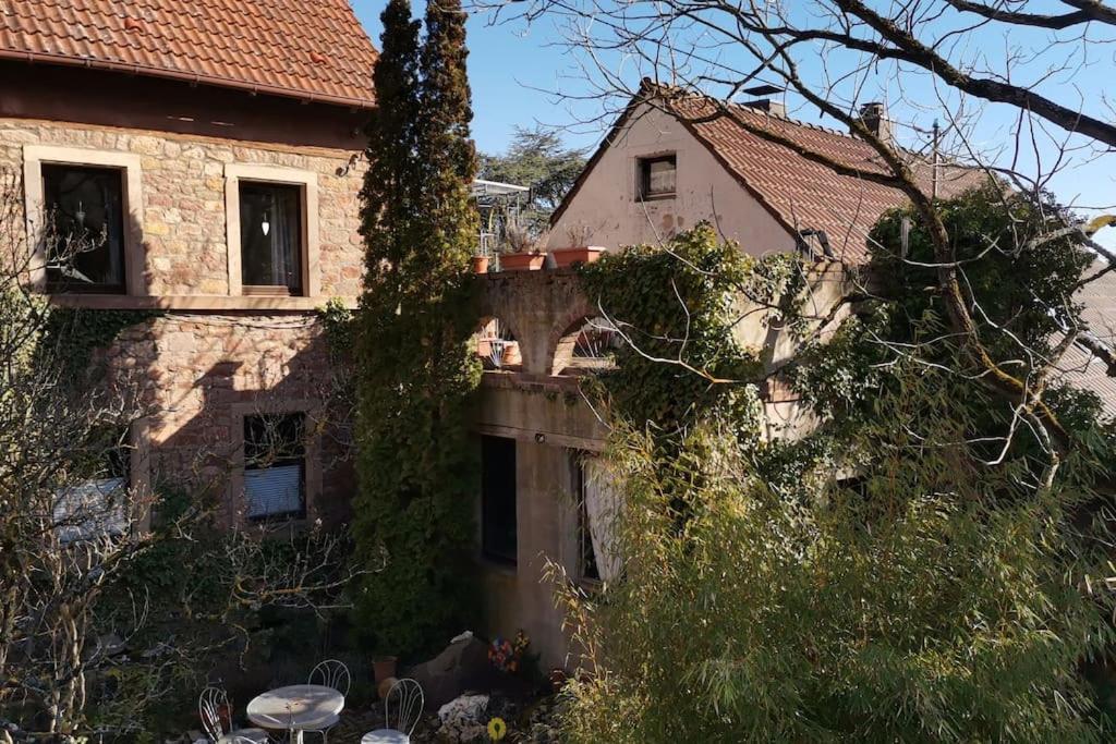 Dannenfels"Casita Linda "Am Donnersberg别墅 外观 照片