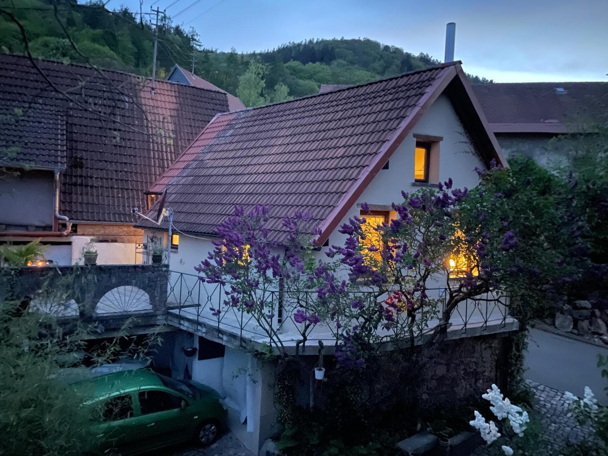 Dannenfels"Casita Linda "Am Donnersberg别墅 外观 照片