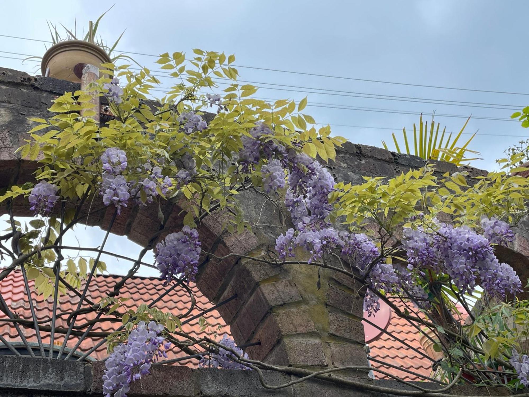 Dannenfels"Casita Linda "Am Donnersberg别墅 外观 照片