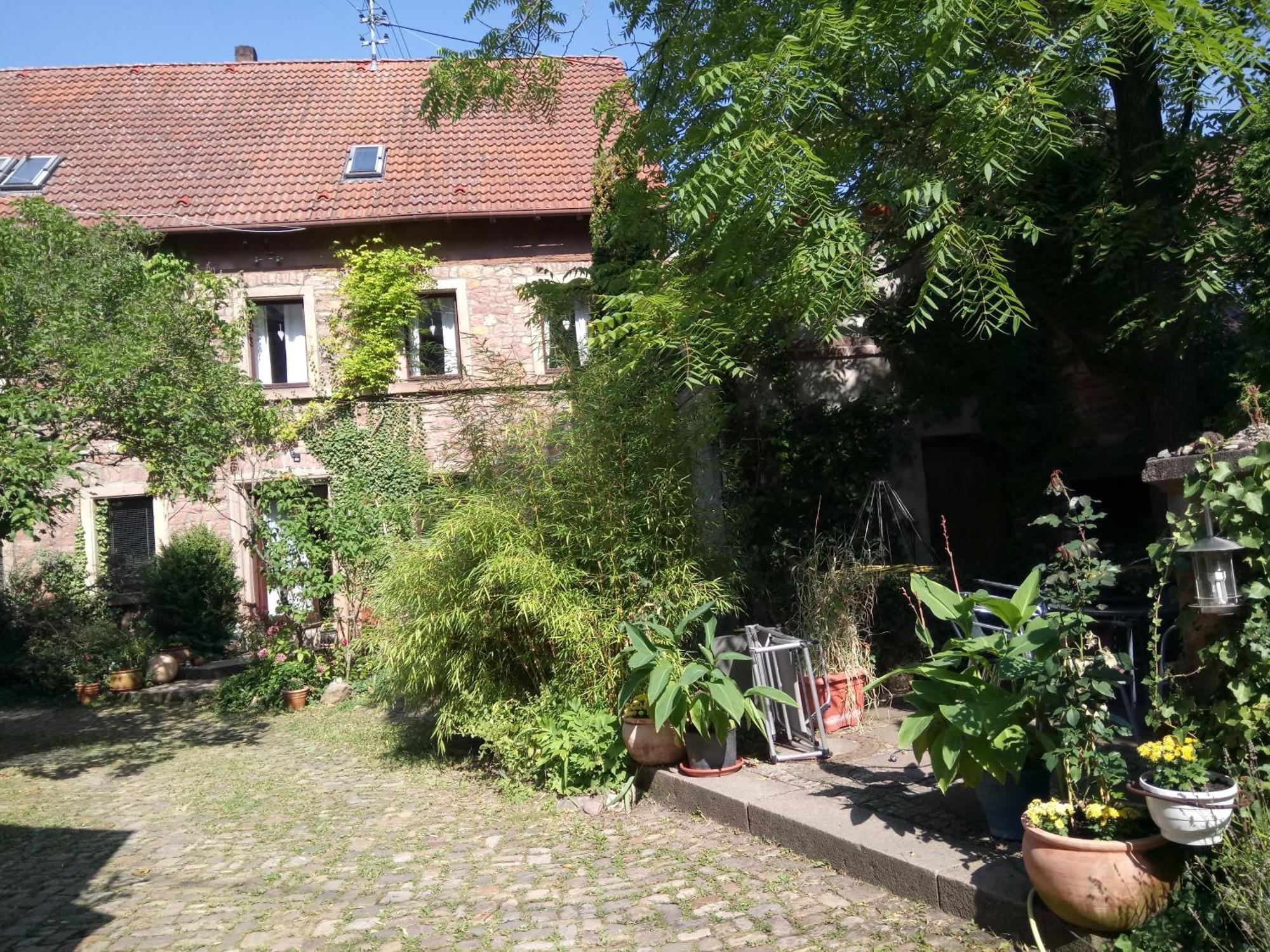 Dannenfels"Casita Linda "Am Donnersberg别墅 外观 照片
