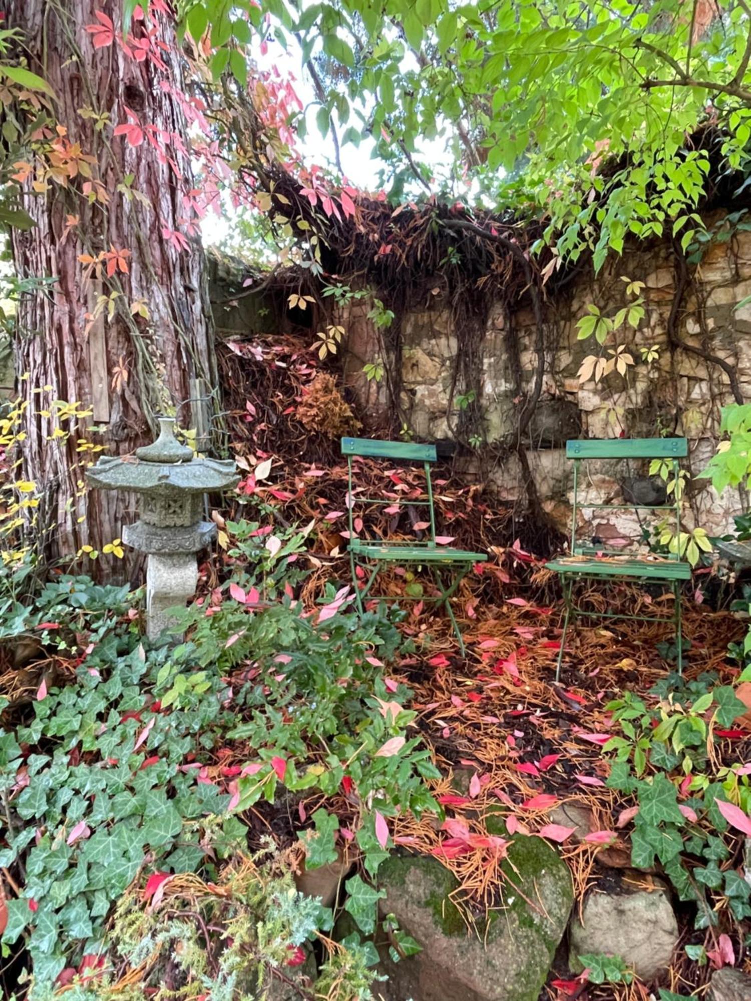 Dannenfels"Casita Linda "Am Donnersberg别墅 外观 照片